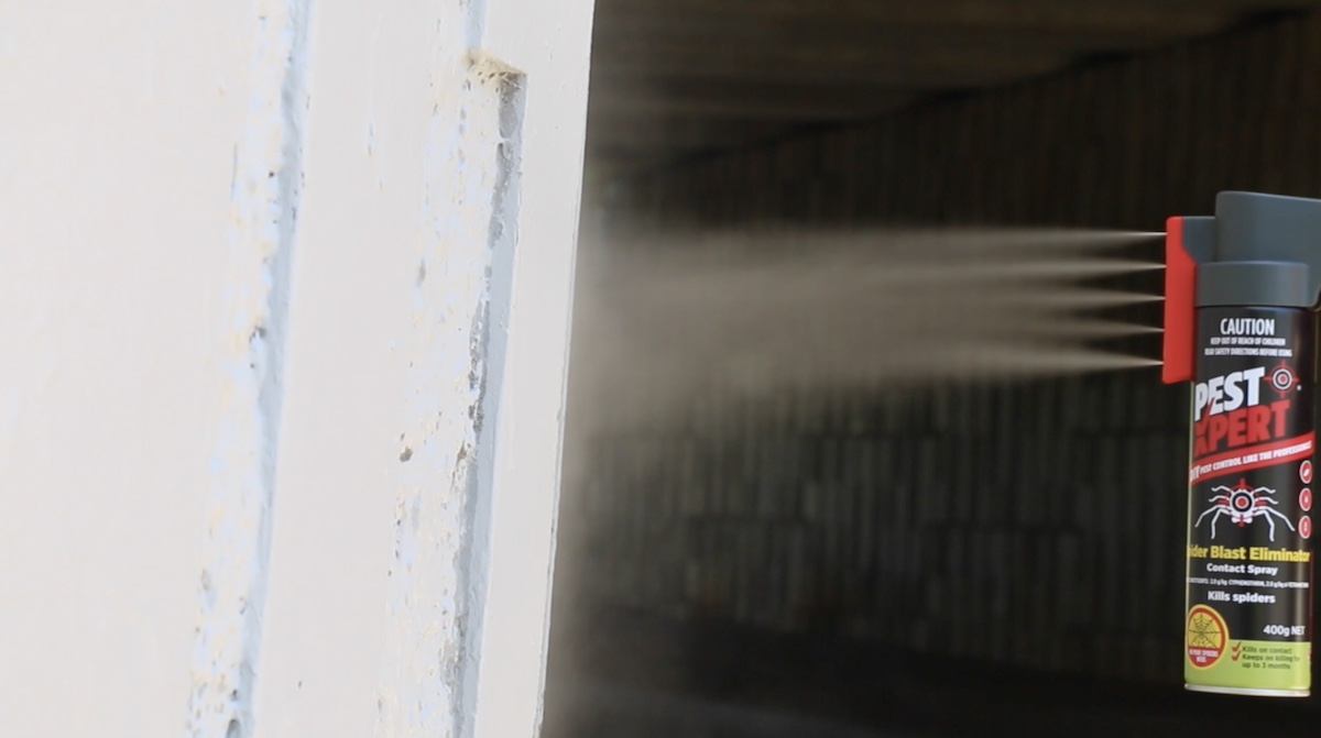 PestXpert spider spray