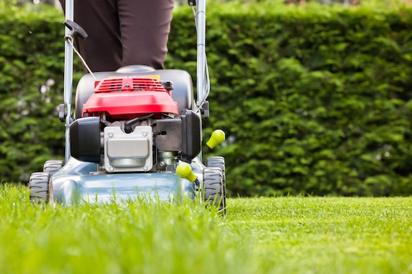 Mowing lawn to make it less attractive to ticks