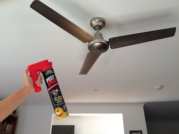 Spraying a fly spray correctly - a space spray